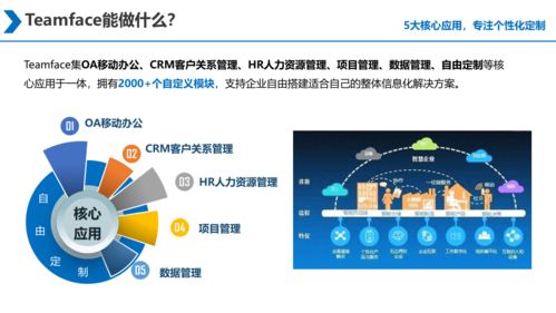 大型集團(tuán)企業(yè)信息化建設(shè) 源代碼采購與二次開發(fā)的戰(zhàn)略抉擇